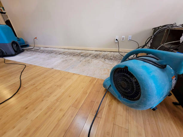 Professional Flood Damage Cleanup technician working in Morton, PA